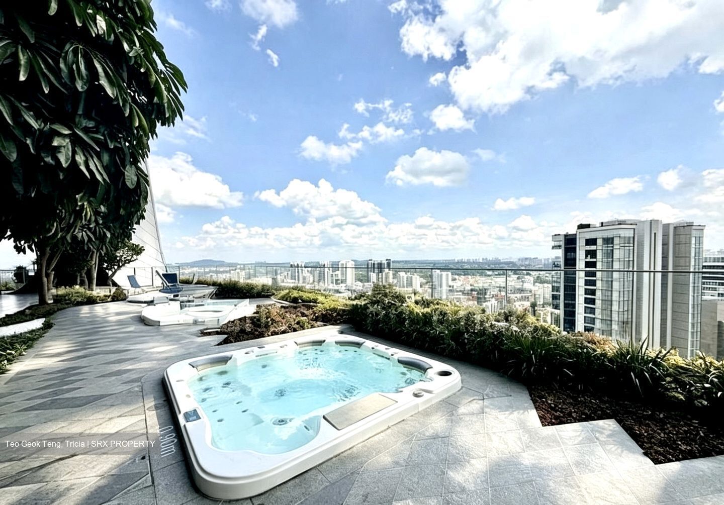 The Scotts Tower (D9), Condominium #548783571